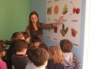 ინგლისურის გაკვეთილი pre-school-ში